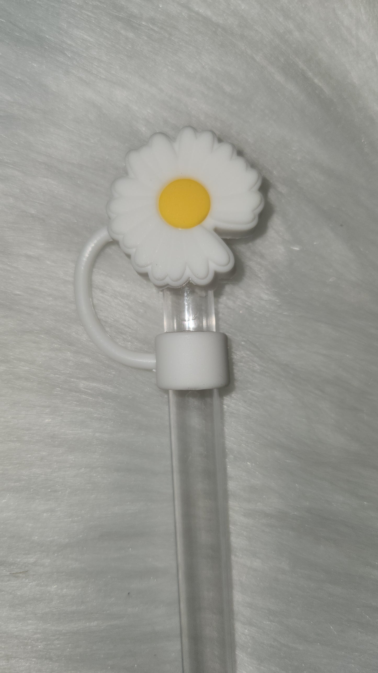 White daisy flower
